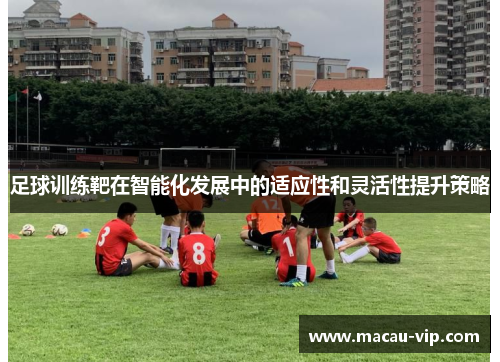 足球训练靶在智能化发展中的适应性和灵活性提升策略